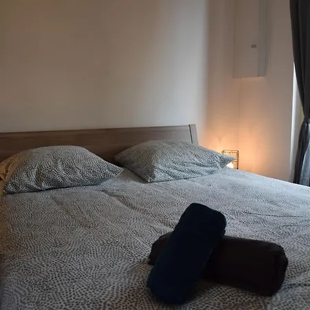 Appartement Elegant T2 A Bron, Tramway A 2min, Box Parking, 4personnes