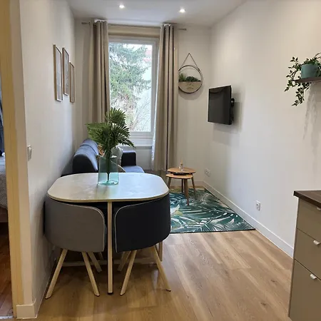 Apartment Elegant T2 A Bron, Tramway A 2min, Box Parking, 4personnes