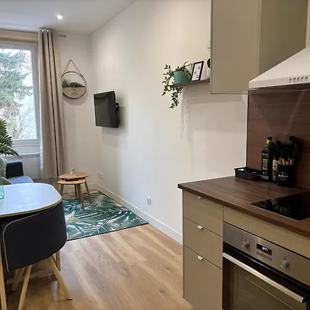 Appartement Elegant T2 A Bron, Tramway A 2min, Box Parking, 4personnes *