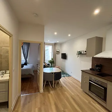 Elegant T2 A Bron, Tramway A 2min, Box Parking, 4personnes * Bron